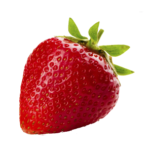 توت فرنگی